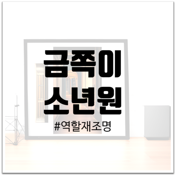  "금쪽이 소년원 : 현대 사회와 부모의 역할 재조명"