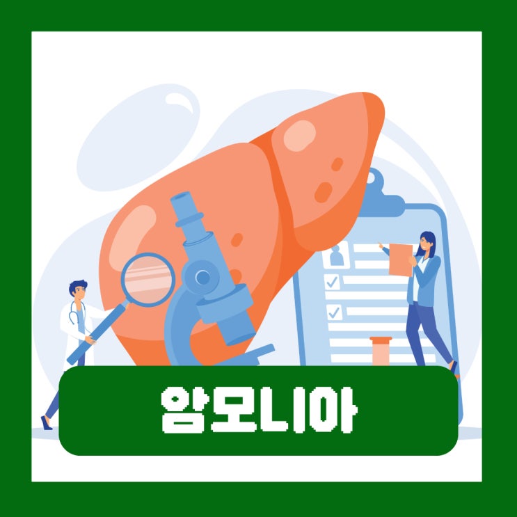  암모니아 수치 정상범위 간성혼수 증상 간성뇌증 원인 치료
