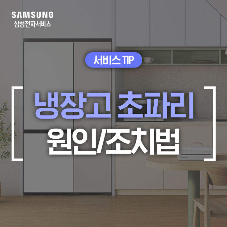  [삼성 냉장고 관리] 냉장고 안에 초파리가 있을때 조치 방법 (냉장고 청소, 비스포크, 김치플러스)