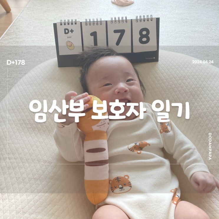 그네를 처음 타본 도담이 D+178 그네를 처음 타본 도담이 D+178