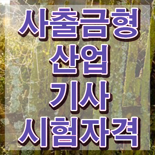  사출금형산업기사 전망 사출금형산업기사 응시조건 관련학과 졸업장, 경력없어도 집에서 온라인으로 최단기간 갖춘 후기