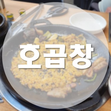  [국내/청주] 용암동 동남지구 곱창 인생 맛집 호곱창