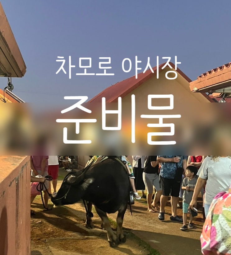  괌 차모르 야시장 준비물 / 아이스크림 바나나, 코코넛 사시미