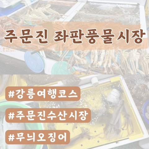  [강릉]주문진 좌판풍물시장 후기/주문진 수산시장 후기(대게,무늬오징어,독도새우,가리비)