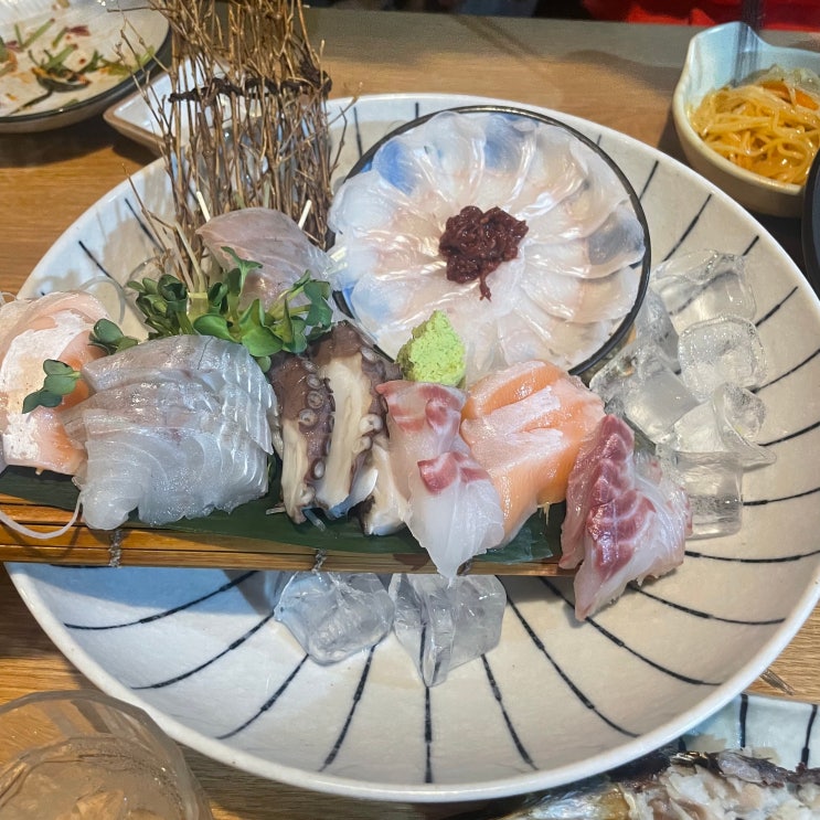 오목교역 목동 오마카세 일식 이자카야 술집 사시미야센
