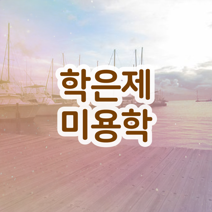  피부미용사 자격증 , 편하게 미용종합면허증 갖출 수 있었던 과정
