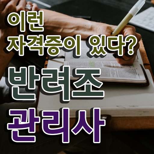  말하는 앵무새 분양가격 , 반려조관리사 자격증 주목받는 이유 정보 및 자격증 취득 노하우