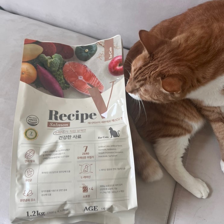  유한양행 Recipe V 세븐제로 고양이 에스 사료, 고양이 유기농연어 사료 추천
