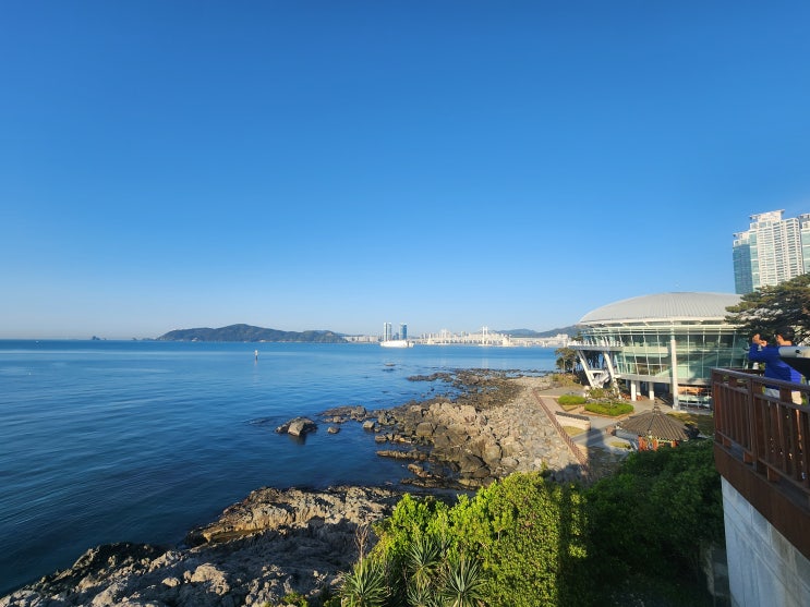 해운대 동백섬 부산여행으로 가볼만한 곳 해운대 동백섬 부산여행으로 가볼만한 곳