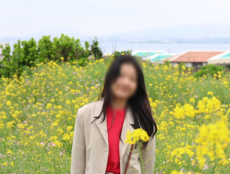  5월 제주도 여행 코스 강추 가파도 (예약, 배시간, 맛집)