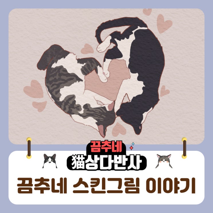  가제트꼬냉 블로그스킨 소금이 후추 그림 이야기
