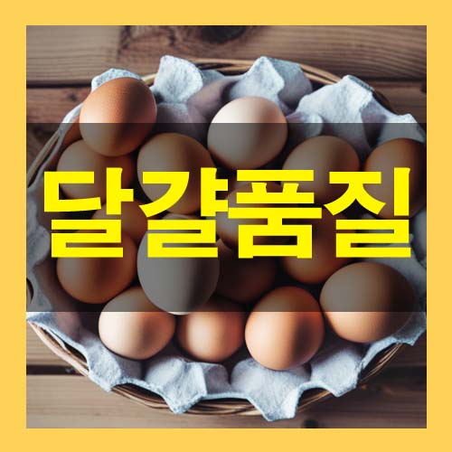  달걀 고르는 방법 난각 번호 상세정보