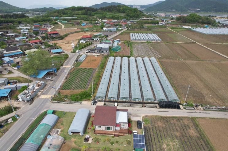 2024년 04월 25일 목요일 아침 세상소식