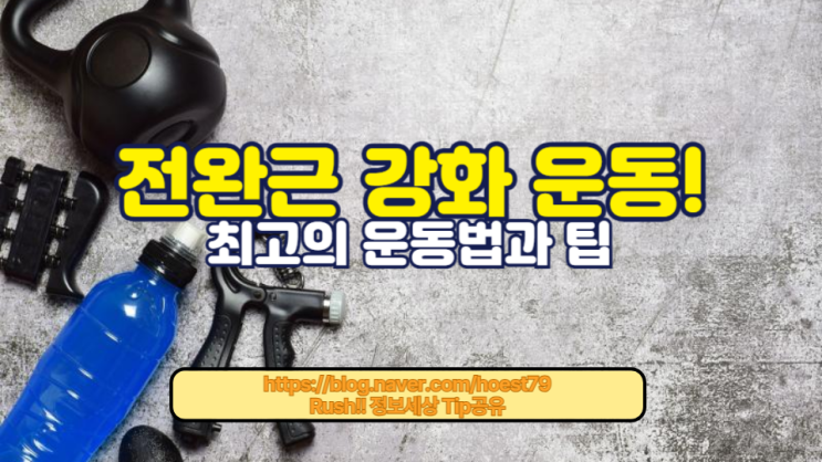 쉽게 따라 할 수 있는 전완근 강화 운동! 최신 트렌드와 효과적인 방법으로 악력을 향상시키는 법을 알아보세요. 전완근 운동 및 악력 향상을 위한 최고의 운동법과 팁!!