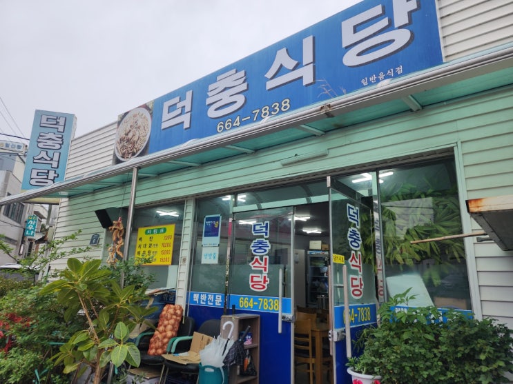  여수 엑스포역 백반 서대회 맛집 덕충식당
