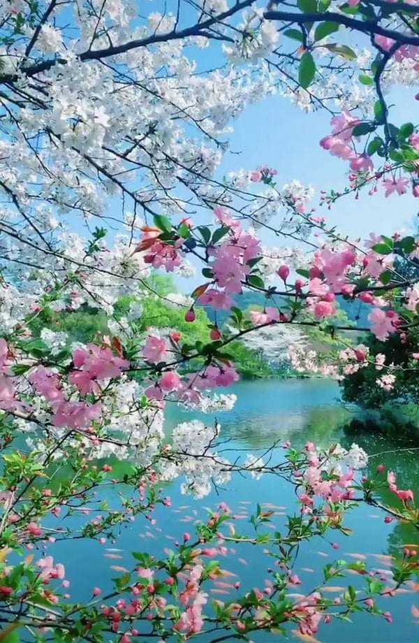   오늘의 생활정보 (2024-04-25, 목)