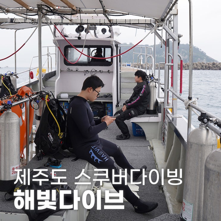  해빛다이브 제주도스쿠버다이빙 PADI 자격증 후기