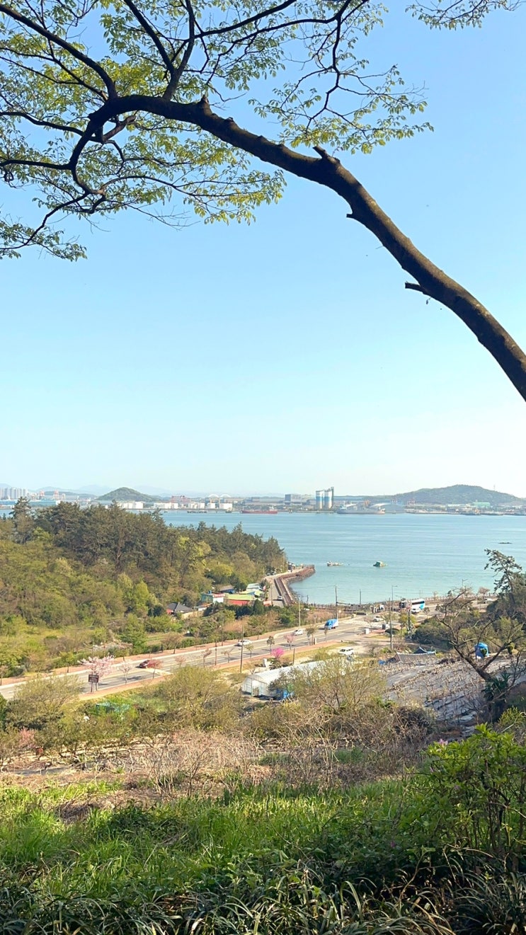  목포 [입암산] 요즘 날씨에 가기 좋은 곳, 이색 데이트