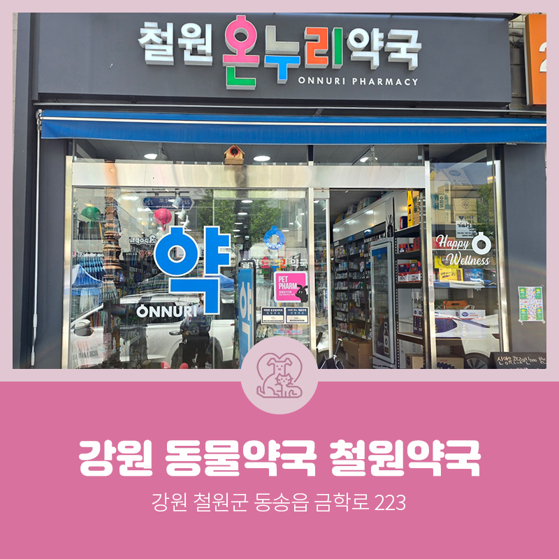 철원온누리약국 사진 1