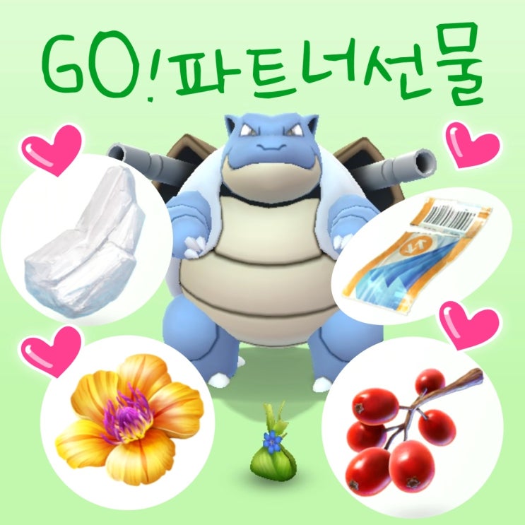  포켓몬고 파트너 포켓몬 선물 가져와준 종류 고마워