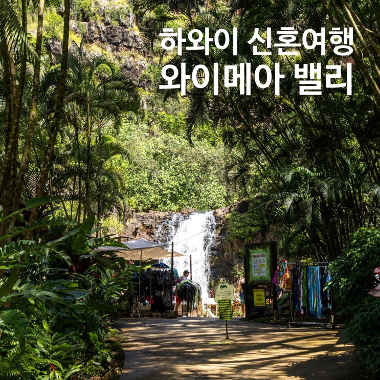  하와이 신혼여행 추천 코스 와이메아밸리 폭포 수영 입장료 주차