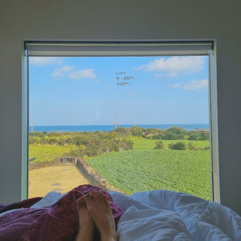하도올레 2호점 사진 1
