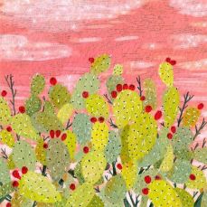  선인장 사이(Between cactuses)