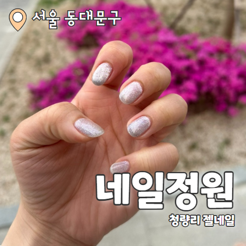  네일정원 : 동대문 용두동 네일맛집 자석젤 추천 후기