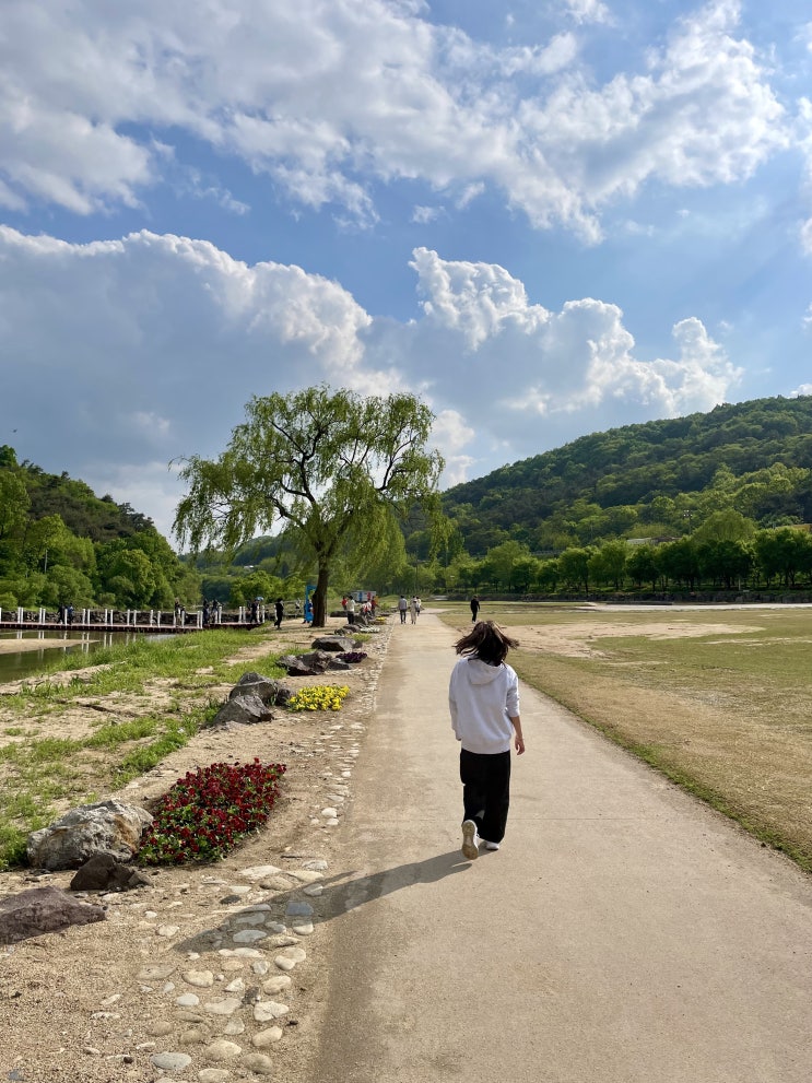 진천 가볼만한곳 처음 가본 진천농다리 산책하기 / 슬쌍디아빠 이동섭