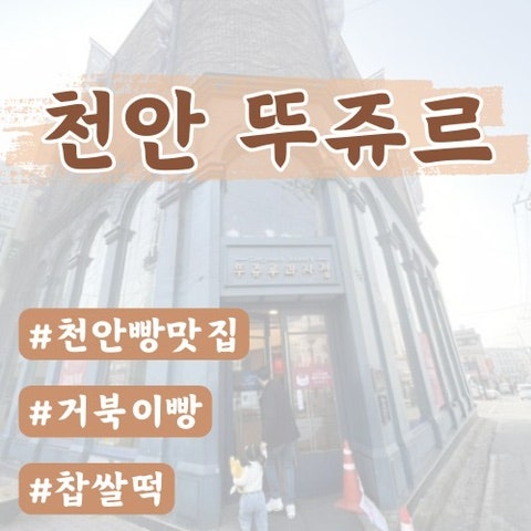  [천안맛집]천안뚜쥬르 본점 성정점 거북이빵 (뚜쥬르추천빵)