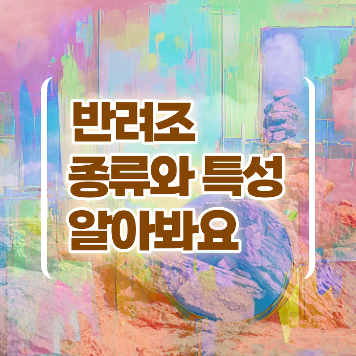  말하는 앵무새 종류 , 반려조관리사 자격증 온라인 과정 후기 및 취업관련 정보