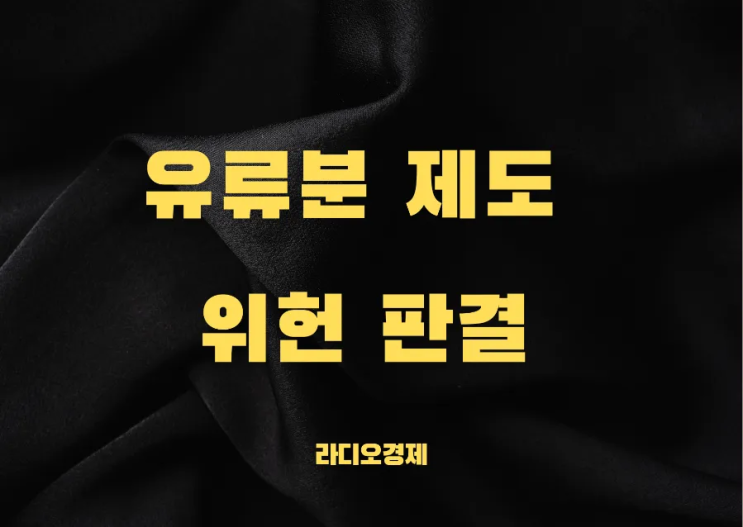 <b>유류분 제도 위헌</b> 판결