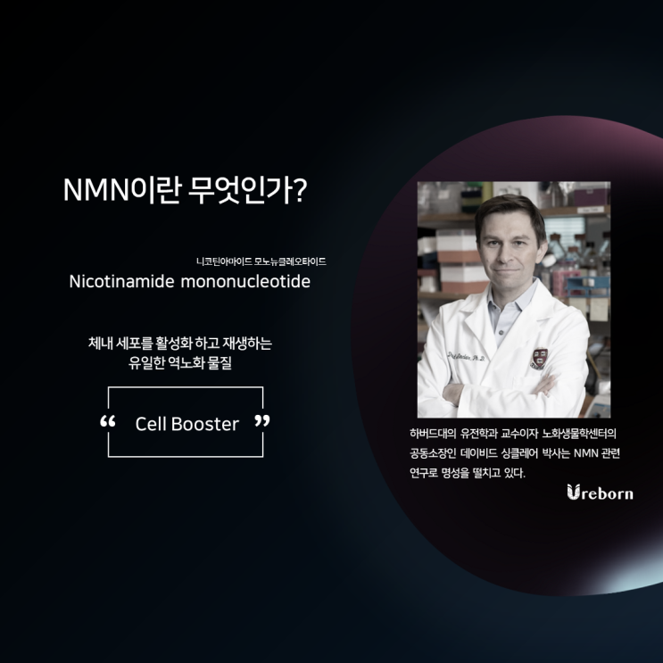  [유리본] NMN이란 무엇인가?