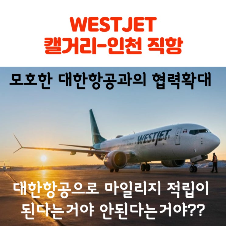  웨스트젯 대한항공 공동운항 코드쉐어 협력확대 캘거리 인천직항