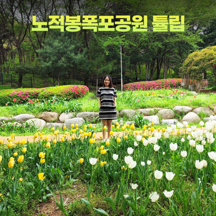 안산 노적봉폭포공원 장미원 철쭉 튤립 피크닉존