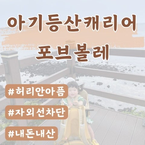  [아기랑제주한달살이준비물]포브볼레아기등산캐리어(내돈내산)
