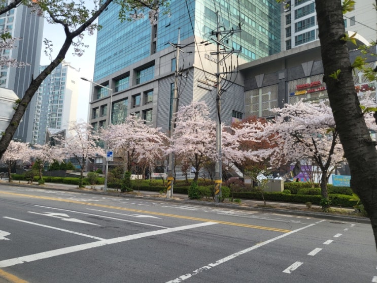  [피그말리온] 스스로에게 다짐