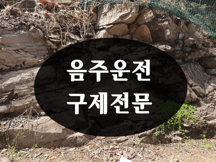  면허취소 결격기간 1년 단축 줄이는 법 110일 정지로