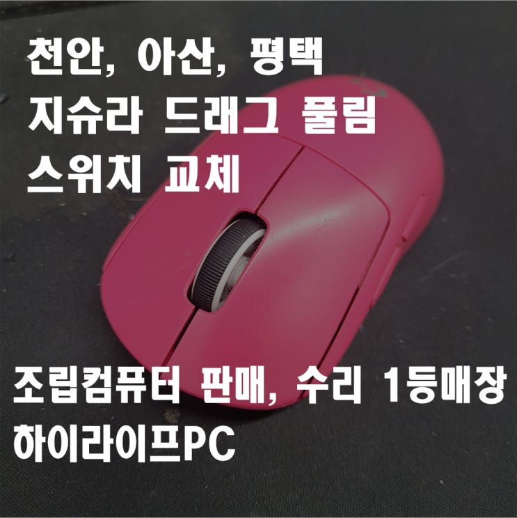 천안마우스 수리, 로지텍 지슈라