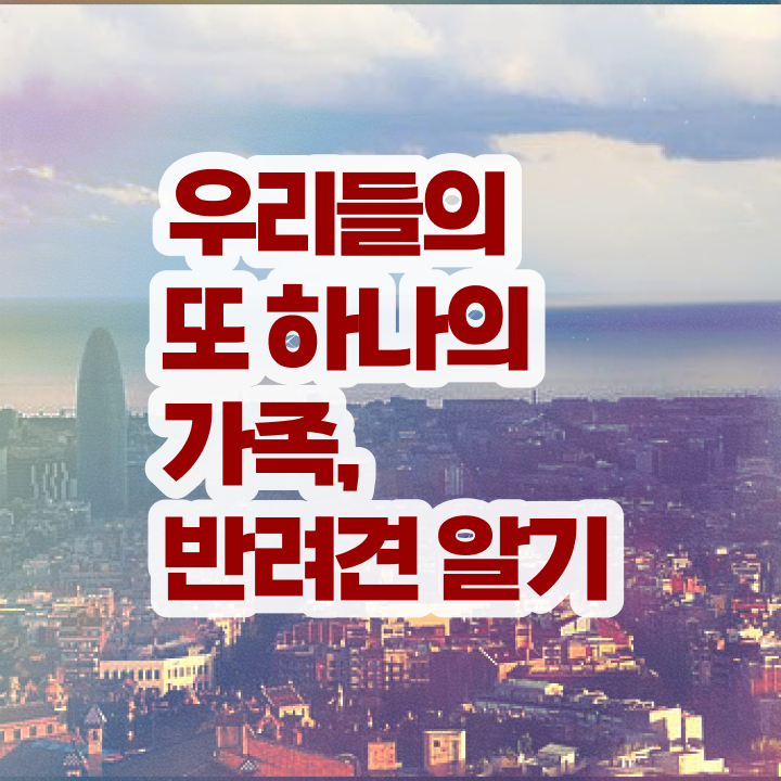  서울 반려동물의료비지원 , 반려동물관리사 자격증 온라인 교육 요점정리