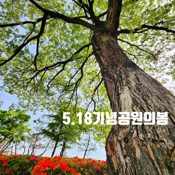  〔전남광주〕광주 5.18기념공원-신록의 싱그러움을 보며 산책하기 좋은 곳