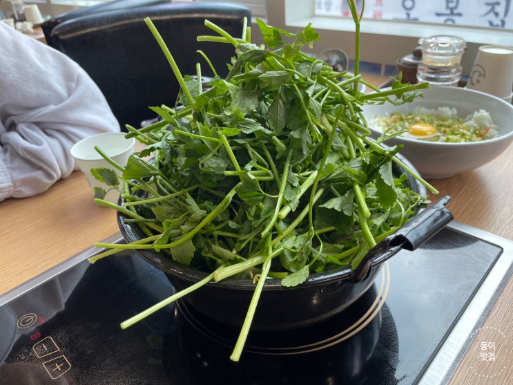  [강남 삼성]삼성동 최고의 샤브샤브 맛집, 등촌샤브칼국수 삼성점 내돈내산 후기