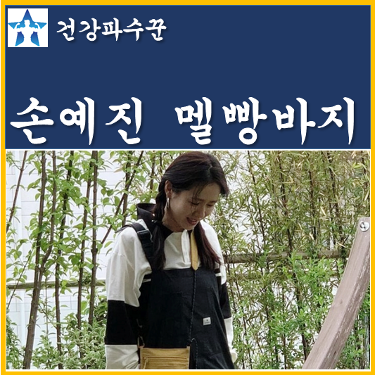 손예진 멜빵바지 스노우피크 오버롤 가격