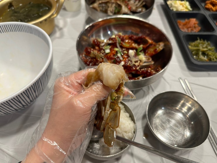  대구 간장게장, 양념게장 무한리필 : 앞산게장 (내돈내산)