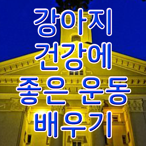  반려 동물보건사 자격증 독학으로 반려견운동지도사자격증 취득한 방법