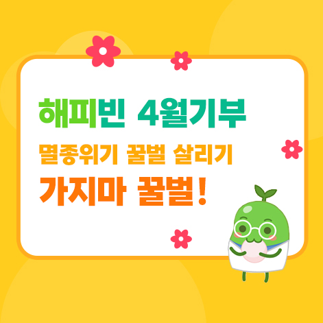  해피빈기부 | 2024년 4월 기부, 가지마 꿀벌! (멸종위기 꿀벌과 야생벌 살리기 2번째)