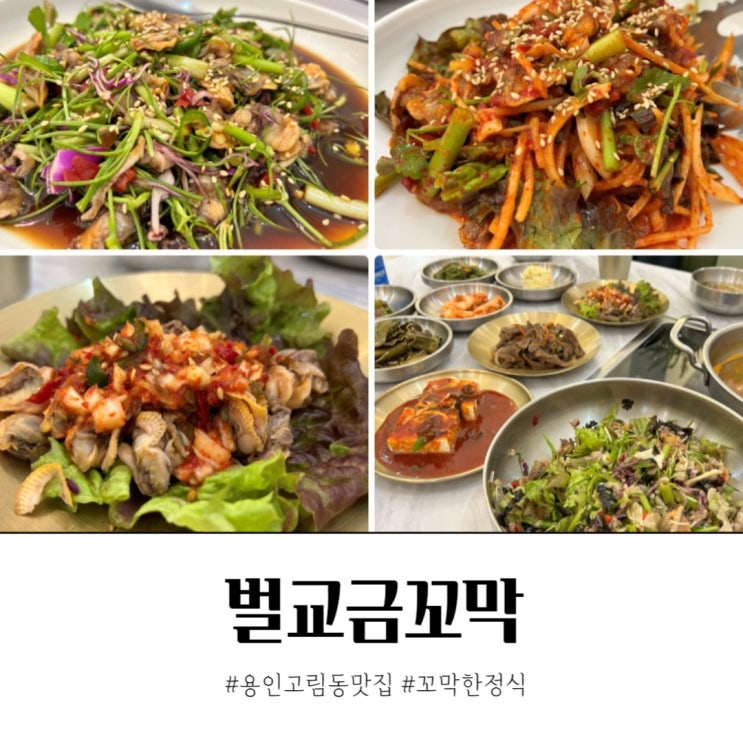  두번간집 용인 고림동 맛집 벌교금꼬막