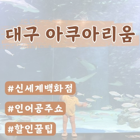  (대구아이랑) 대구 아쿠아리움 할인 및 정보