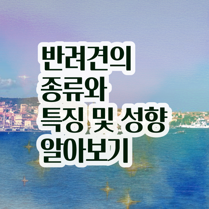  반려동물 자격증 인강 , 반려동물관리사 자격증 학습 및 취득과정 정리해드립니다