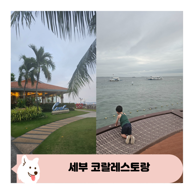  세부 제이파크 코랄 레스토랑 및 체크아웃 후 수영장 샤워실 이용